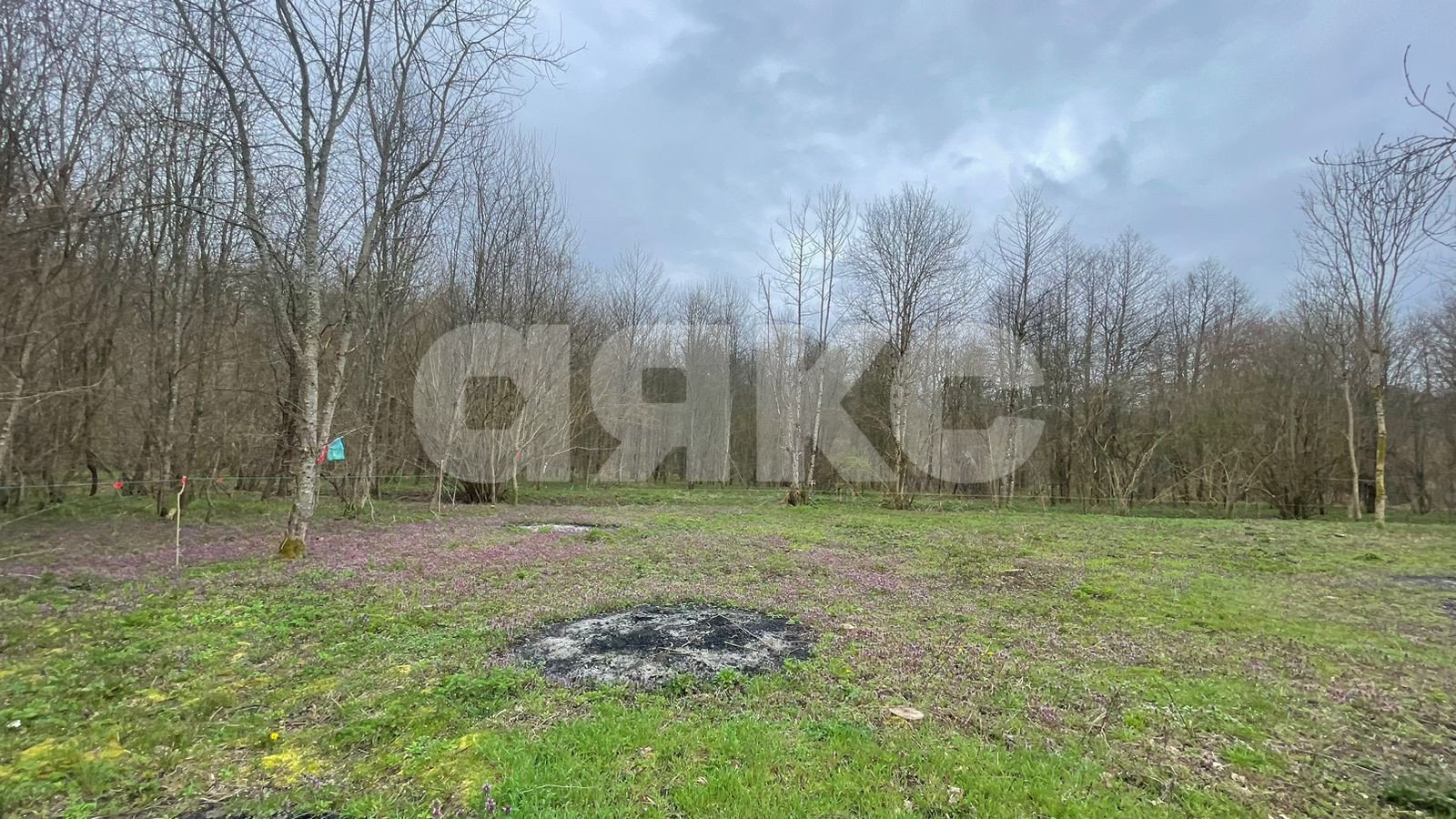 Фото №6: Участок садоводство 10&nbsp;сот. - садовые участки Лесник