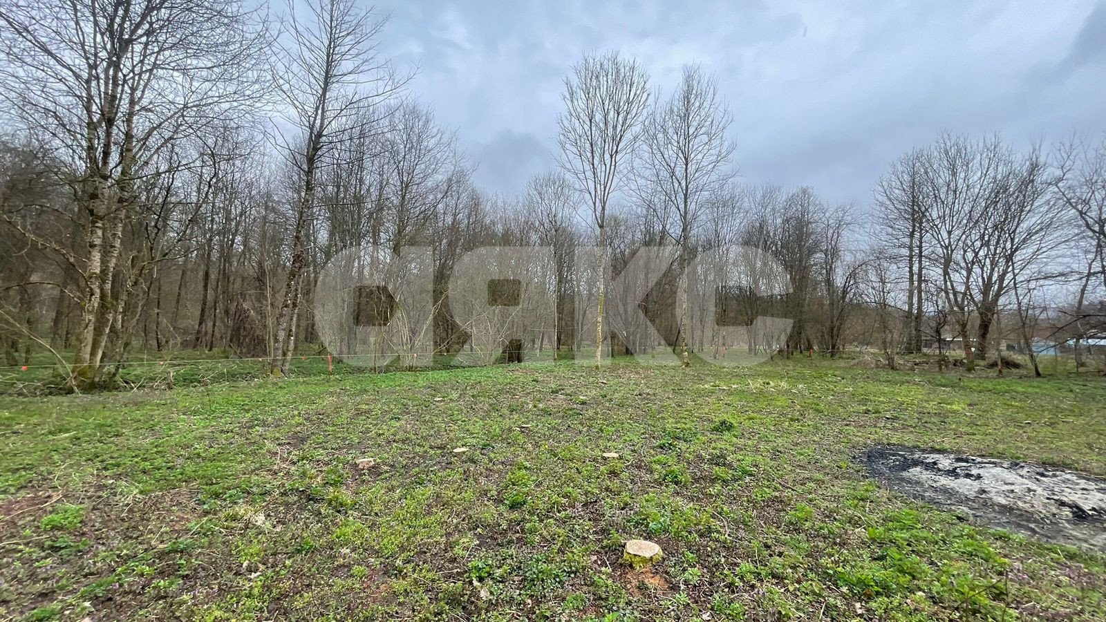 Фото №12: Участок садоводство 10&nbsp;сот. - садовые участки Лесник