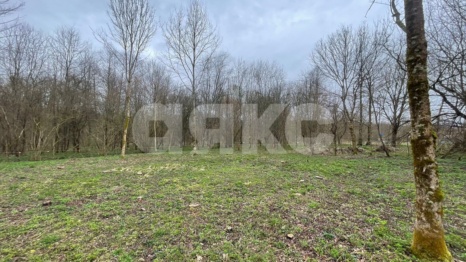 Фото №5: Участок садоводство 10&nbsp;сот. - садовые участки Лесник