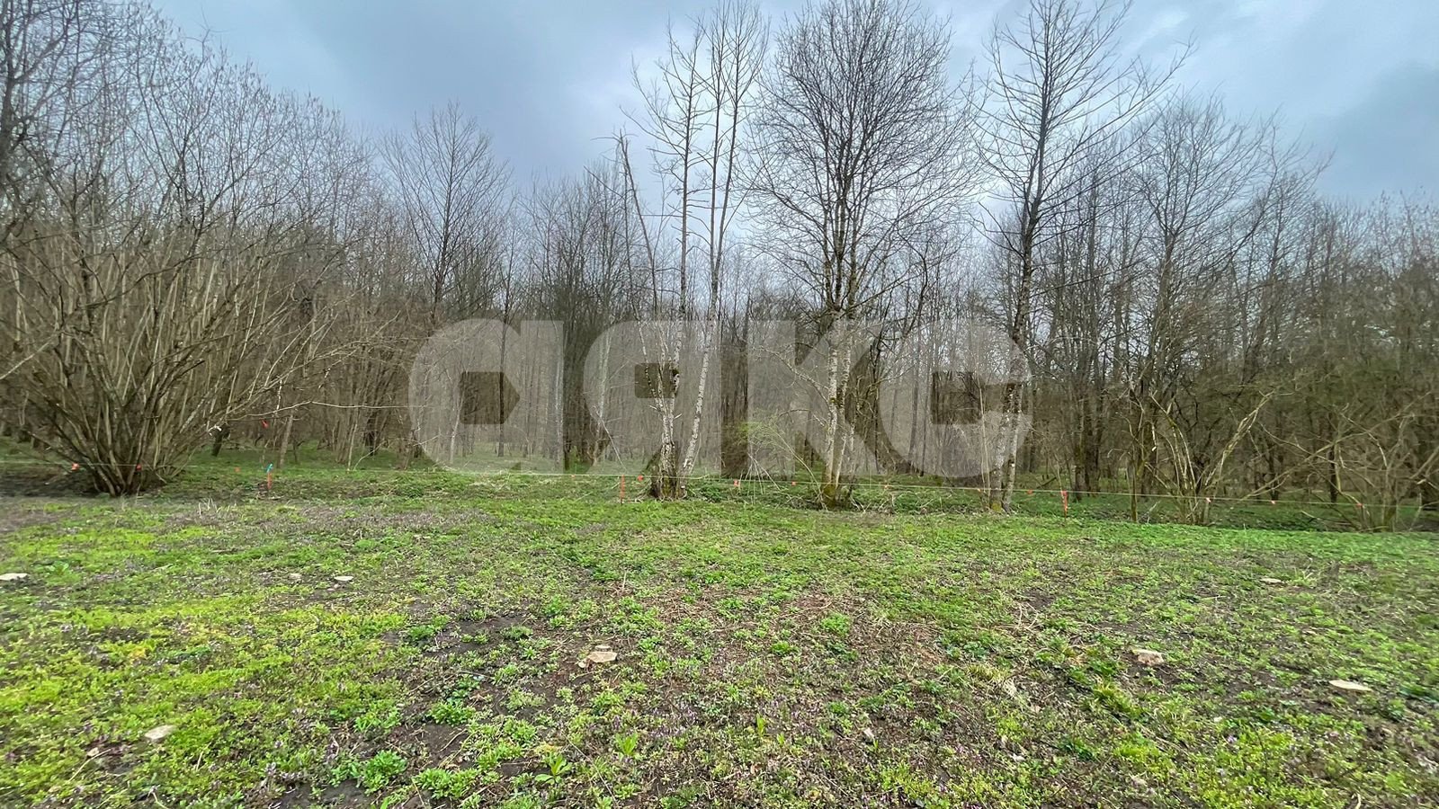 Фото №16: Участок садоводство 10&nbsp;сот. - садовые участки Лесник