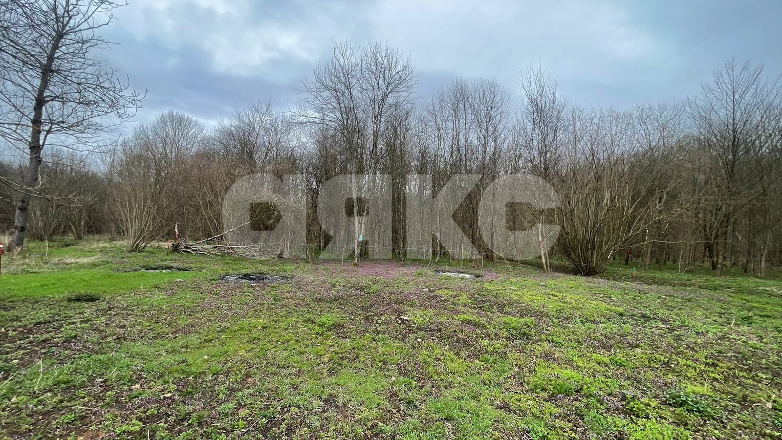 Фото №4: Участок садоводство 10&nbsp;сот. - садовые участки Лесник