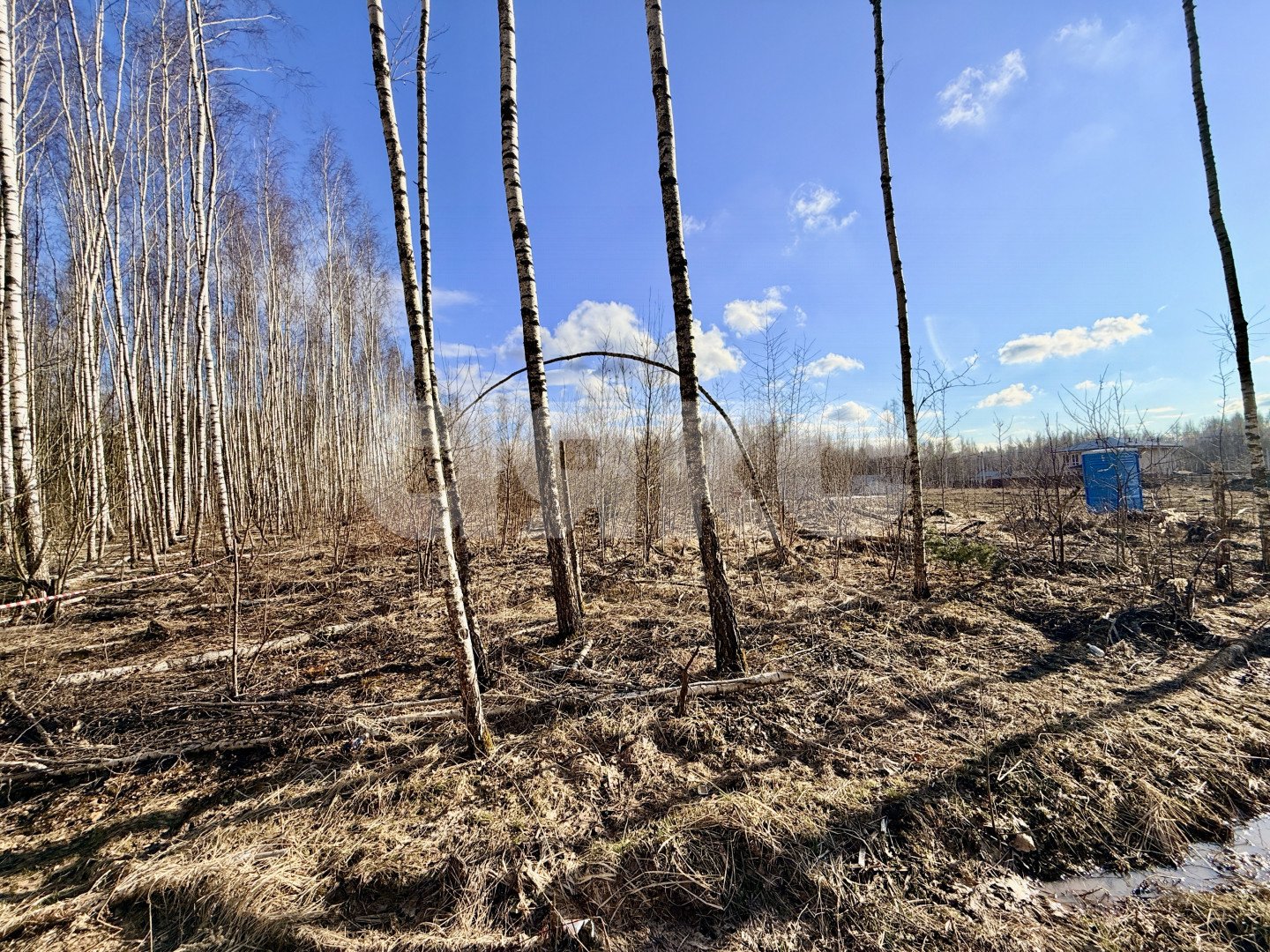 Фото №4: Земельный участок под ИЖС 10&nbsp;сот. - Бронницы, мкр. КП Бронницы, ул. Лазурная, 1