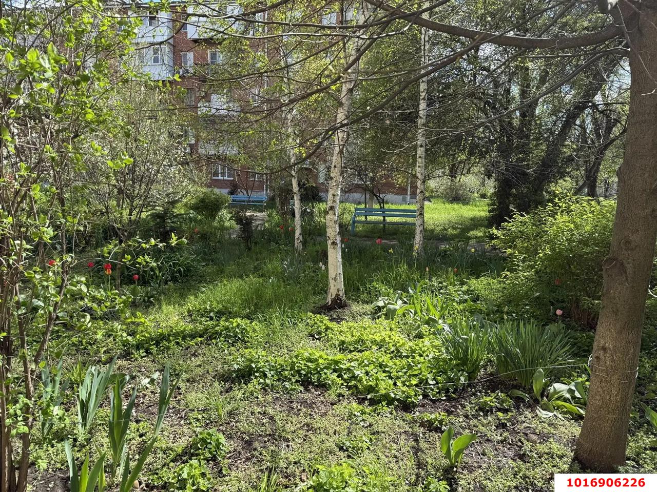 Фото №18: 2-комнатная квартира 42&nbsp;м², 5/5&nbsp;эт. - Краснодар, Прикубанский внутригородской округ, мкр. Авиагородок, ул. Авиагородок, 5