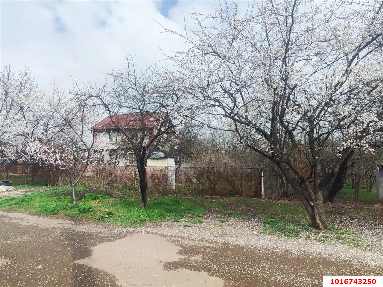 Фото №6: Дом 148&nbsp;м² + 10&nbsp;сот., 2&nbsp;эт. - Краснодар, Прикубанский внутригородской округ, Сады Калинина, ст Животновод, ул. Грушевая, 292