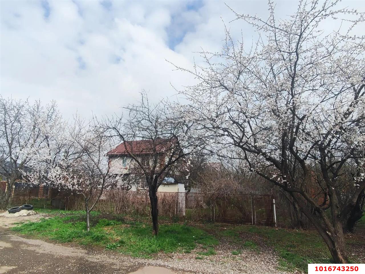 Фото №4: Дом 148&nbsp;м² + 10&nbsp;сот., 2&nbsp;эт. - Краснодар, Прикубанский внутригородской округ, Сады Калинина, ст Животновод, ул. Грушевая, 292