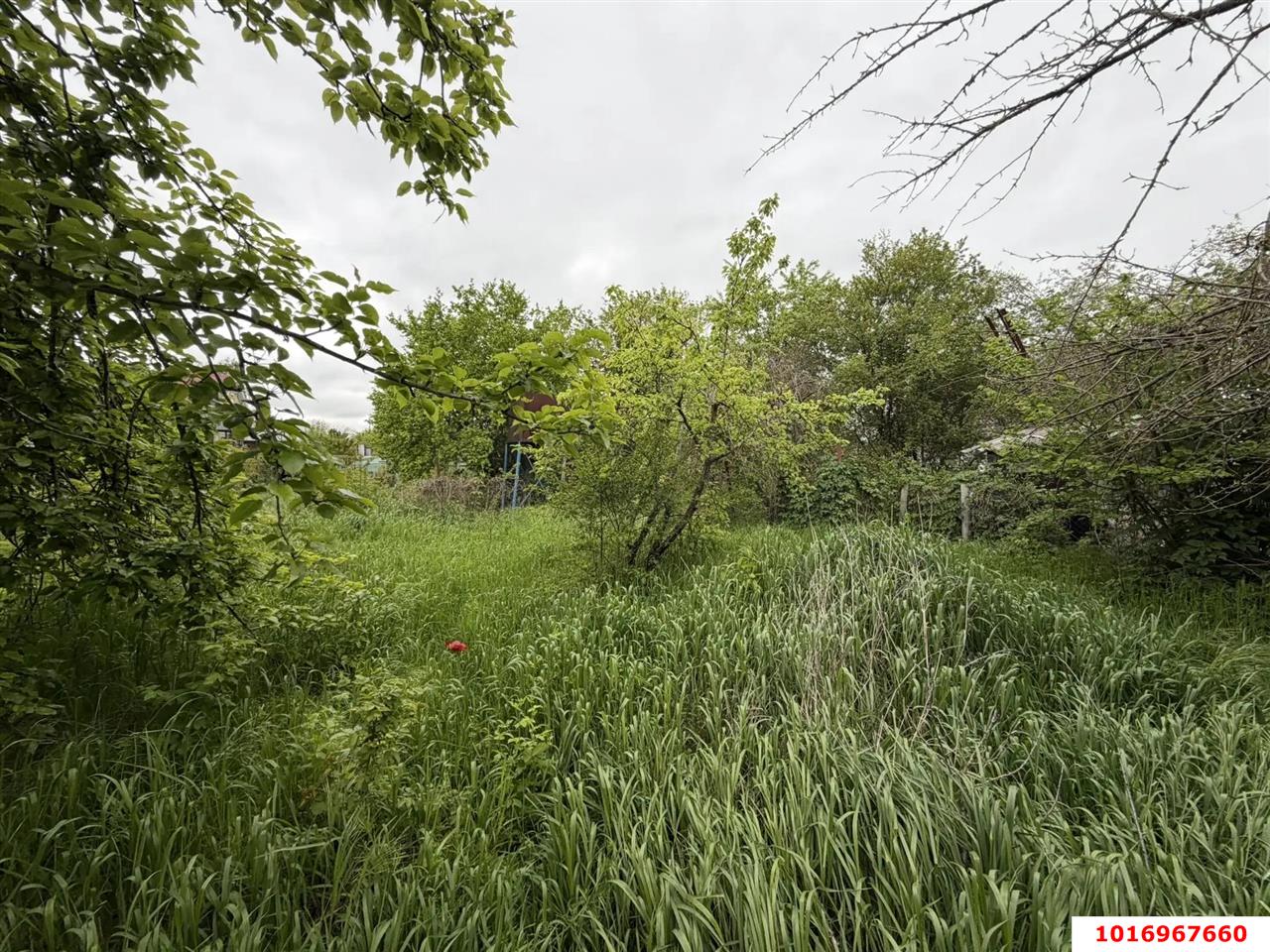 Фото №3: Дом 76&nbsp;м² + 4.6&nbsp;сот., 1&nbsp;эт. - Елизаветинская, Прикубанский внутригородской округ, мкр. СНТ Кубань-1, ул. Грушёвая
