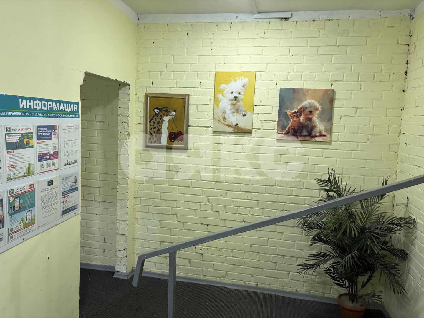 Фото №2: 3-комнатная квартира 102&nbsp;м², 8/10&nbsp;эт. - Реутов, мкр. 5-й, ул. Ашхабадская, 25
