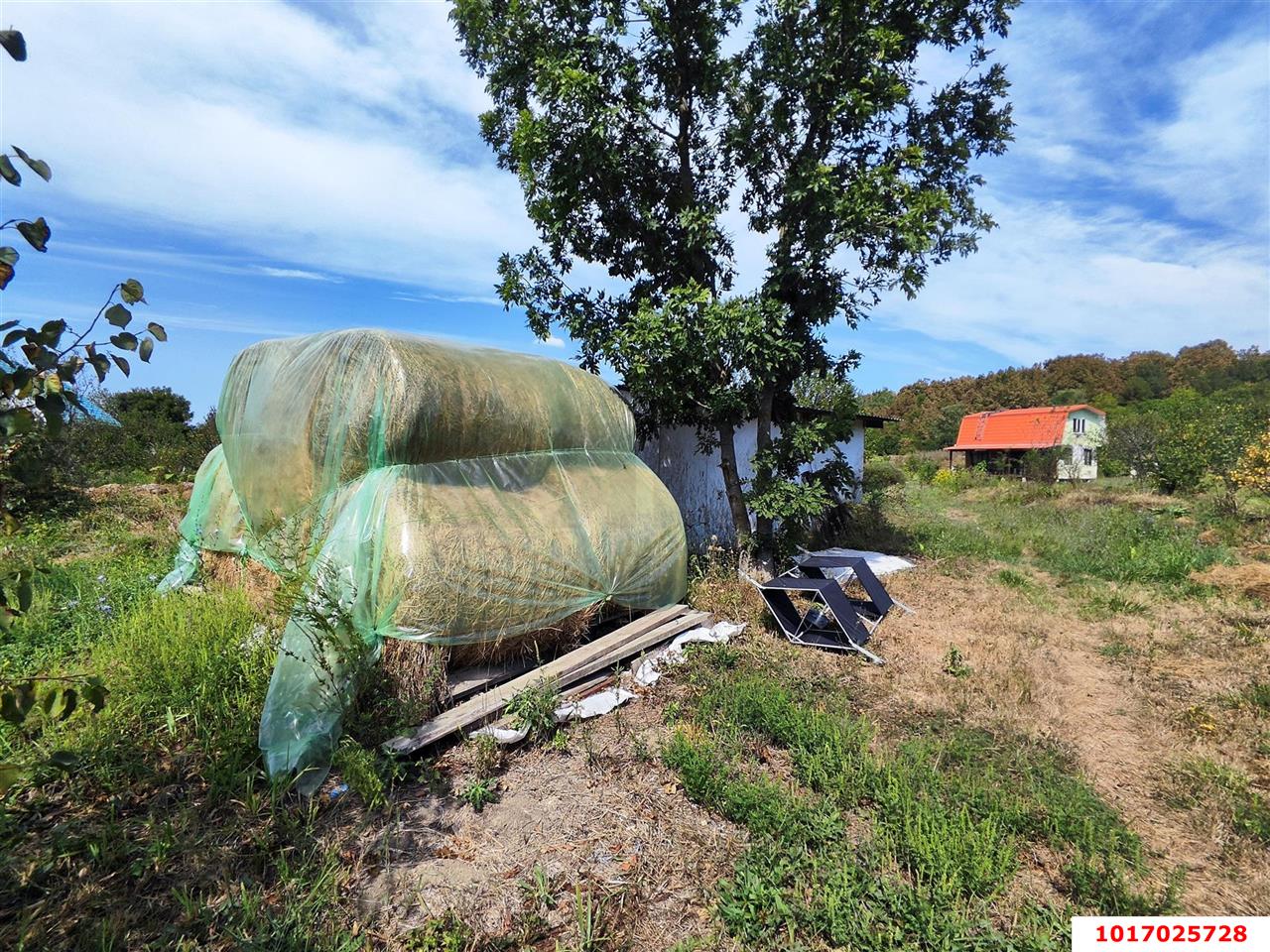 Фото №5: Дом 116&nbsp;м² + 137&nbsp;сот., 1&nbsp;эт. - Сказочный край, ул. Волшебная, 3