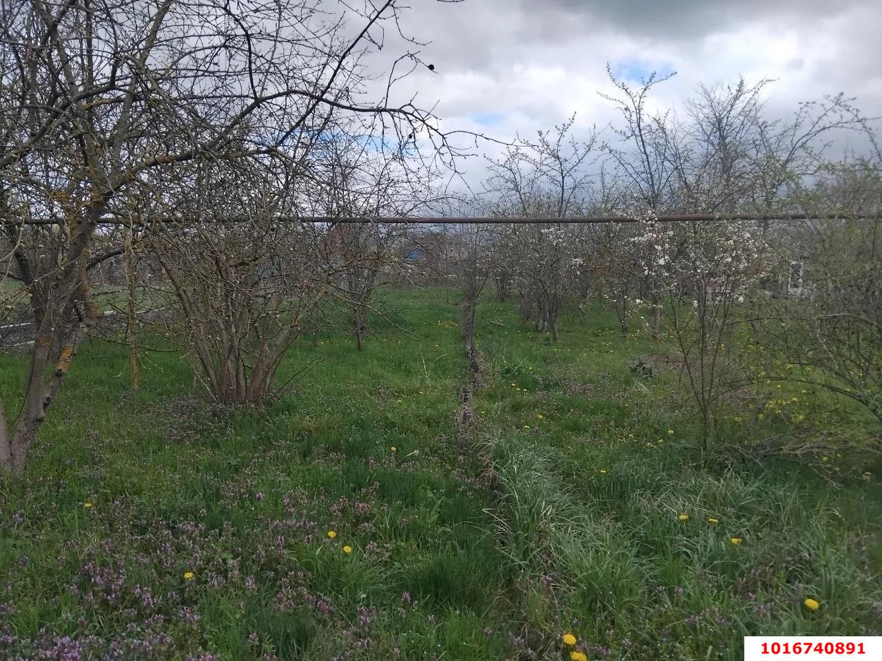 Фото №5: Дом 332&nbsp;м² + 13&nbsp;сот., 1&nbsp;эт. - Приреченский, ул. Шоссейная, 20