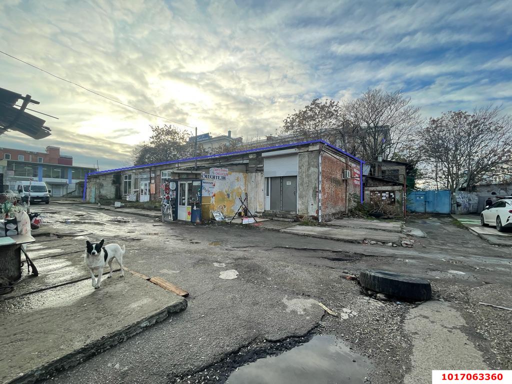 Фото №5: Торговое помещение 381&nbsp;м², 1/1&nbsp;эт. - Краснодар, Западный внутригородской округ, мкр. Центральный, ул. Октябрьская, 177/2