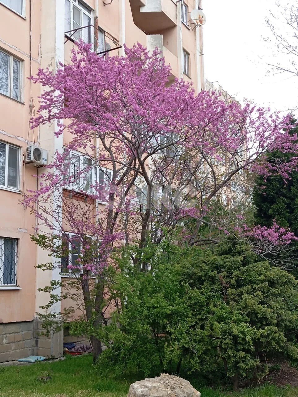 Фото №17: 2-комнатная квартира 54&nbsp;м², 2/9&nbsp;эт. - Сукко, ул. Желанная, 9