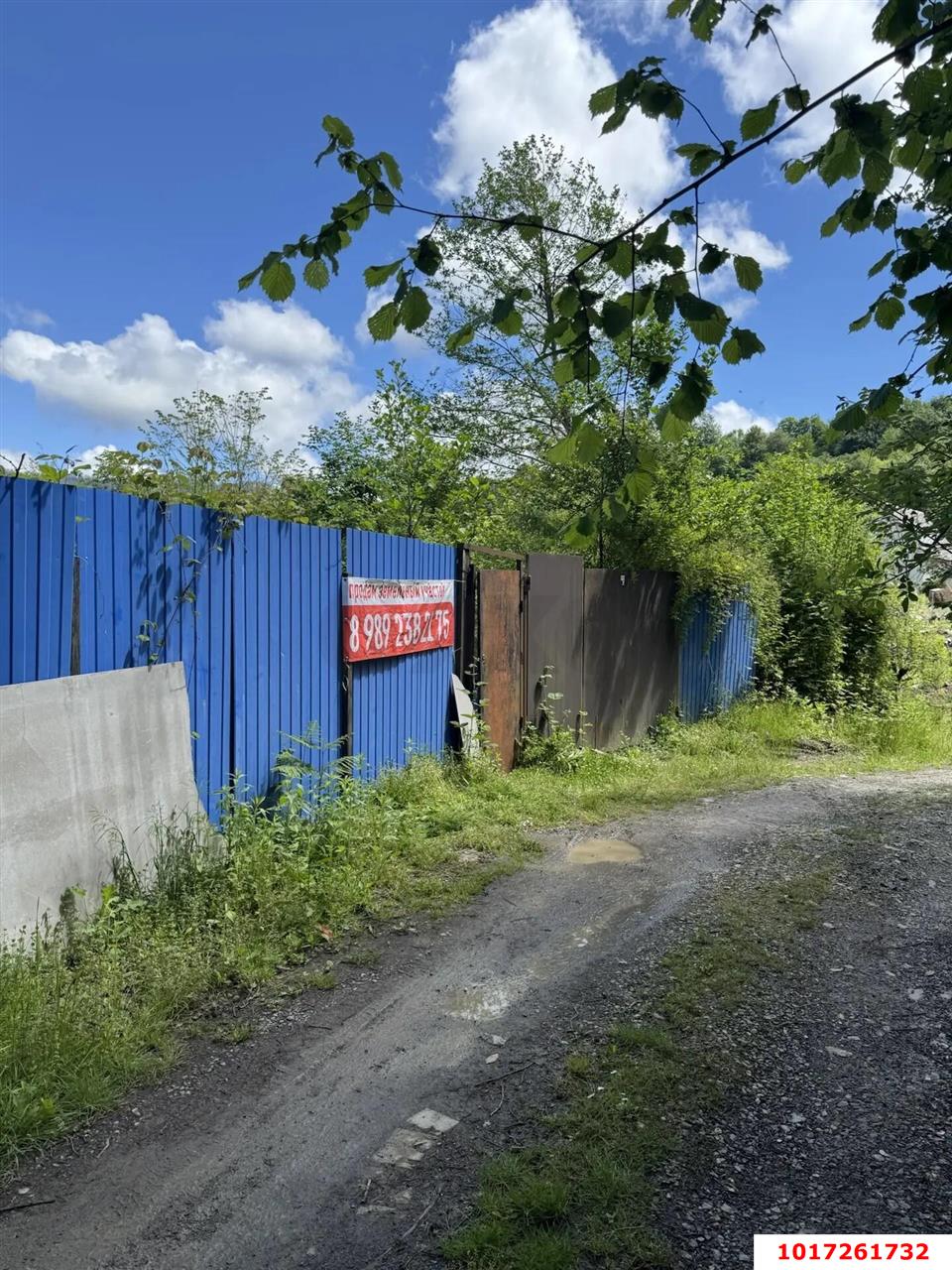 Фото №6: Личное подсобное хозяйство 10&nbsp;сот. - Пластунка, Хостинский, счт Волна, 19