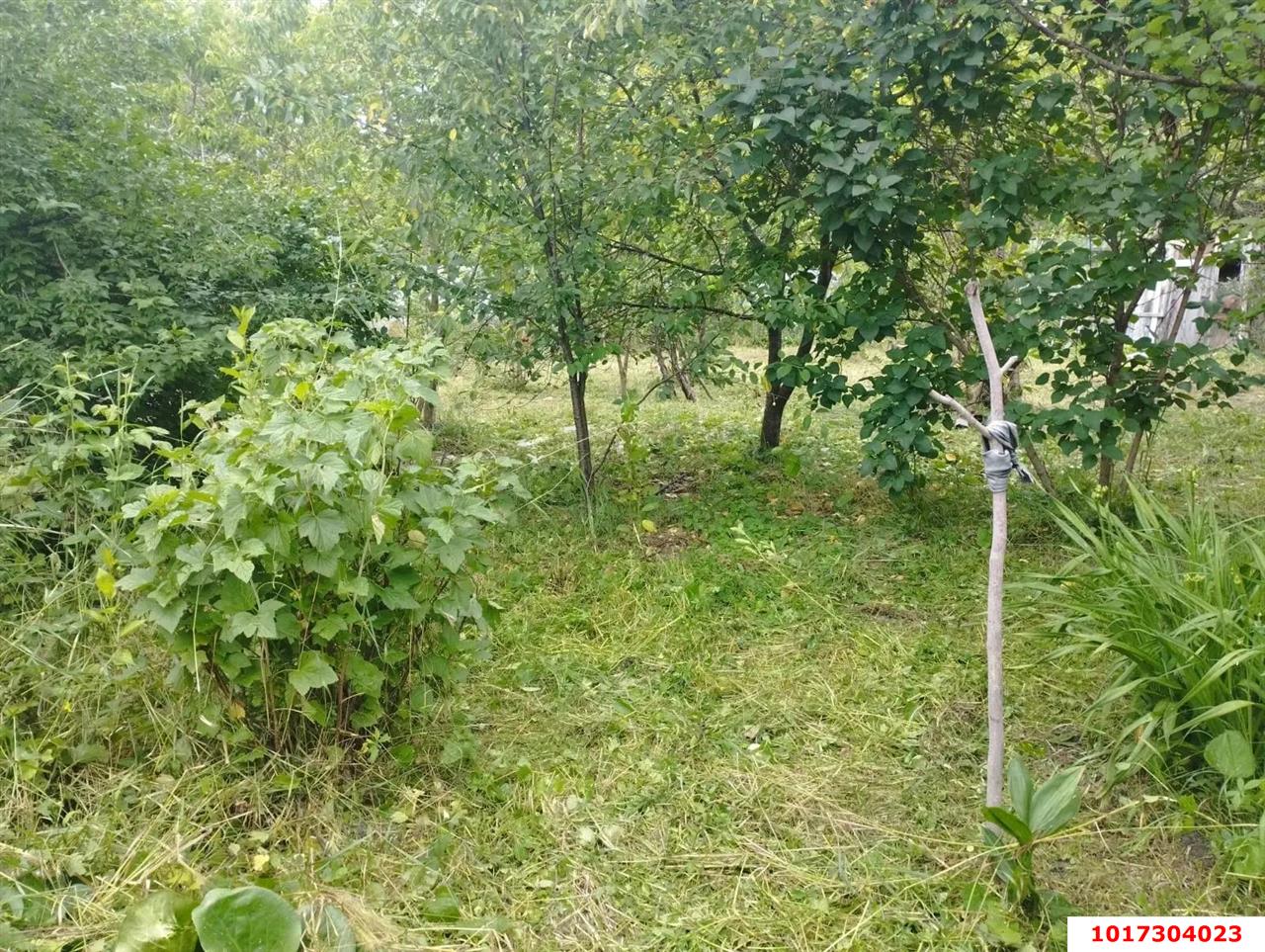 Фото №15: Дом 35&nbsp;м² + 11&nbsp;сот., 1&nbsp;эт. - НСТ Ромашка-2, мкр. Прикубанский внутригородской округ, ул. Совхозная, 15