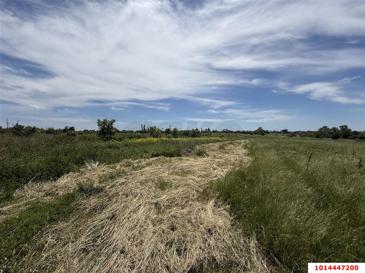 Фото №4: Коммерческая земля 394&nbsp;сот. - Казазов, ул. Войсковая, 7