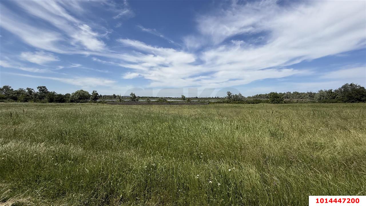 Фото №10: Коммерческая земля 394&nbsp;сот. - Казазов, ул. Войсковая, 7