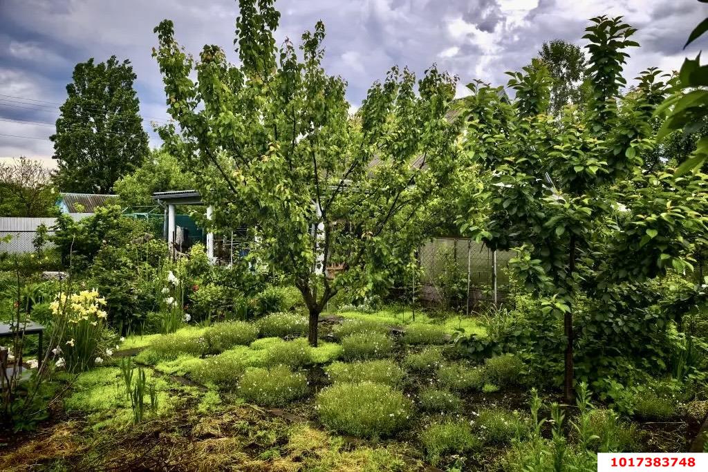Фото №15: Дом 24&nbsp;м² + 4&nbsp;сот., 1&nbsp;эт. - Мечта, мкр. Карасунский внутригородской округ, ул. Айвовая
