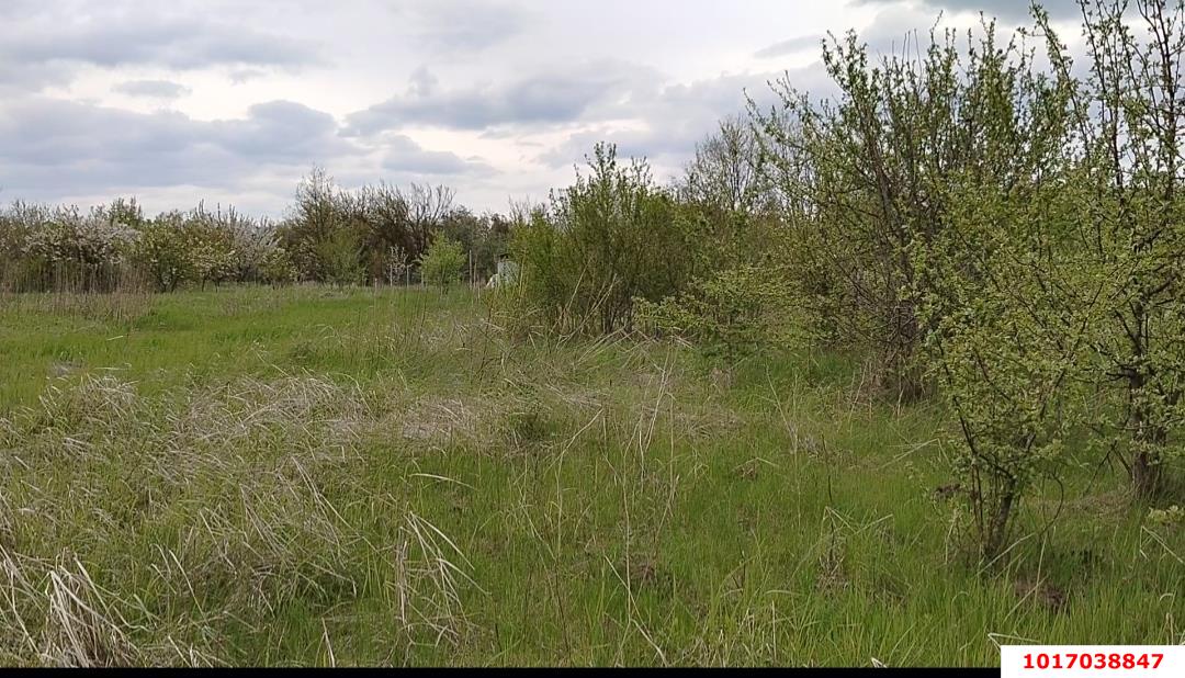 Фото №3: Земельный участок под ИЖС 25&nbsp;сот. - Заречный, ул. Школьная, 176
