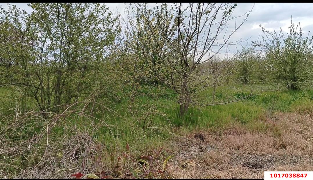 Фото №8: Земельный участок под ИЖС 25&nbsp;сот. - Заречный, ул. Школьная, 176