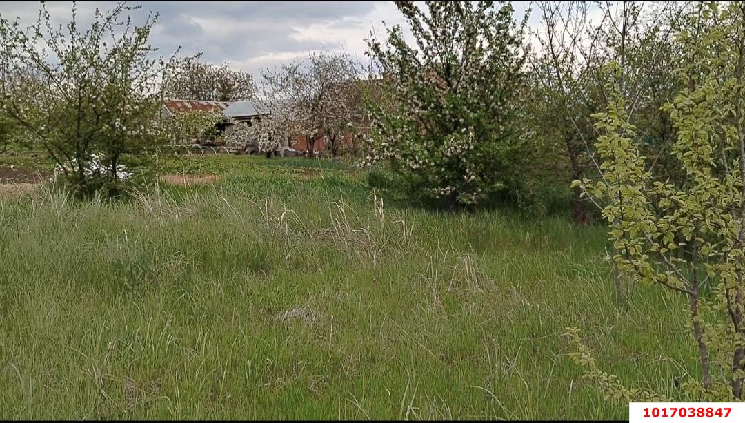 Фото №4: Земельный участок под ИЖС 25&nbsp;сот. - Заречный, ул. Школьная, 176