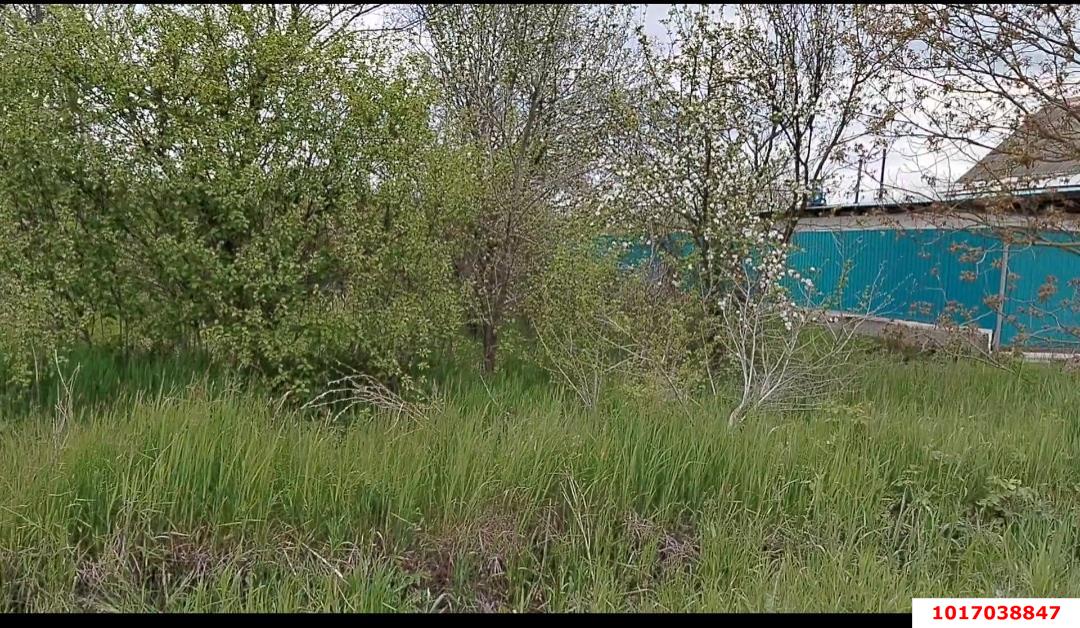 Фото №7: Земельный участок под ИЖС 25&nbsp;сот. - Заречный, ул. Школьная, 176