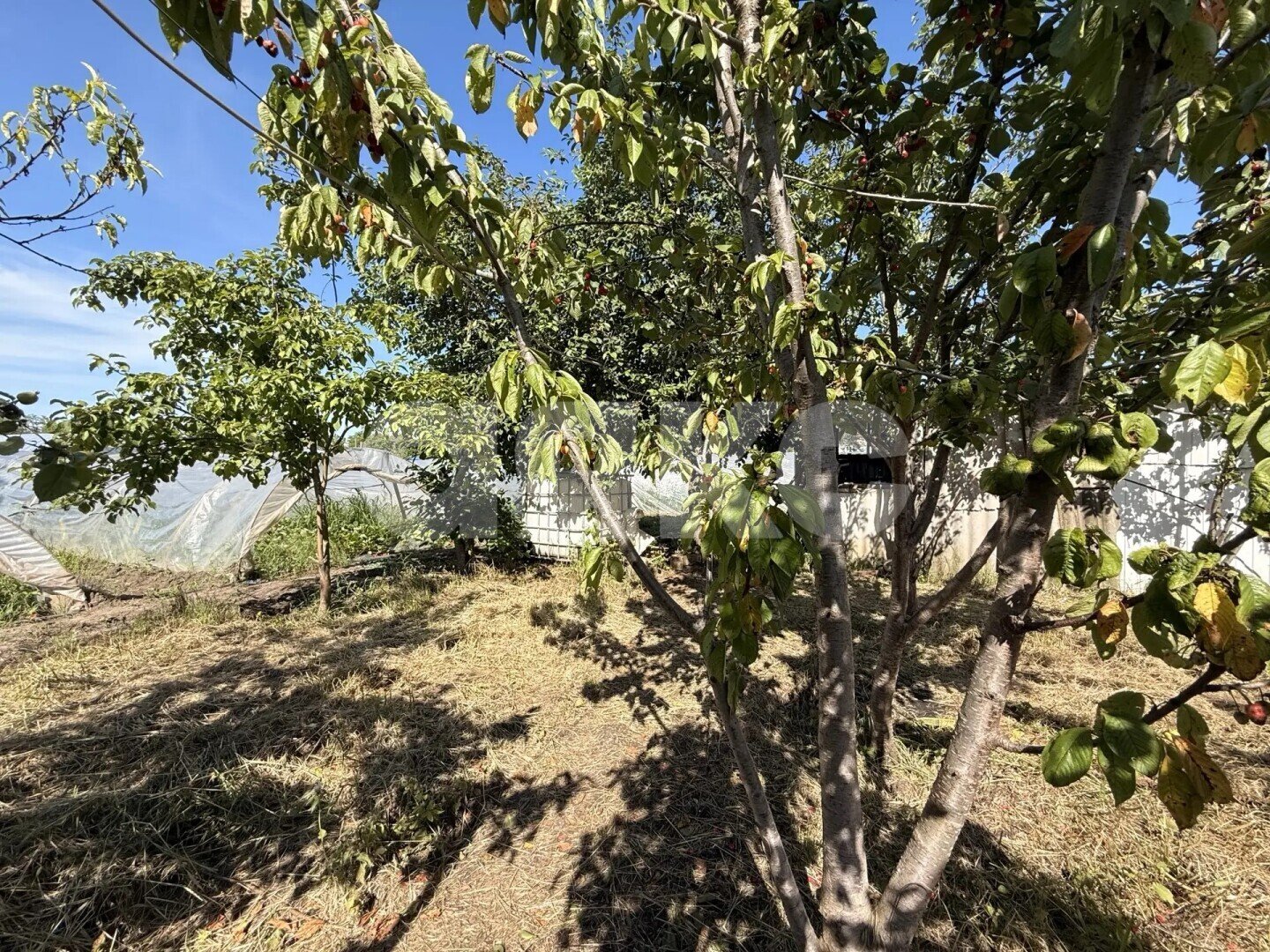 Фото №13: Личное подсобное хозяйство 23.23&nbsp;сот. - Платнировская, ул. Карла Маркса, 120