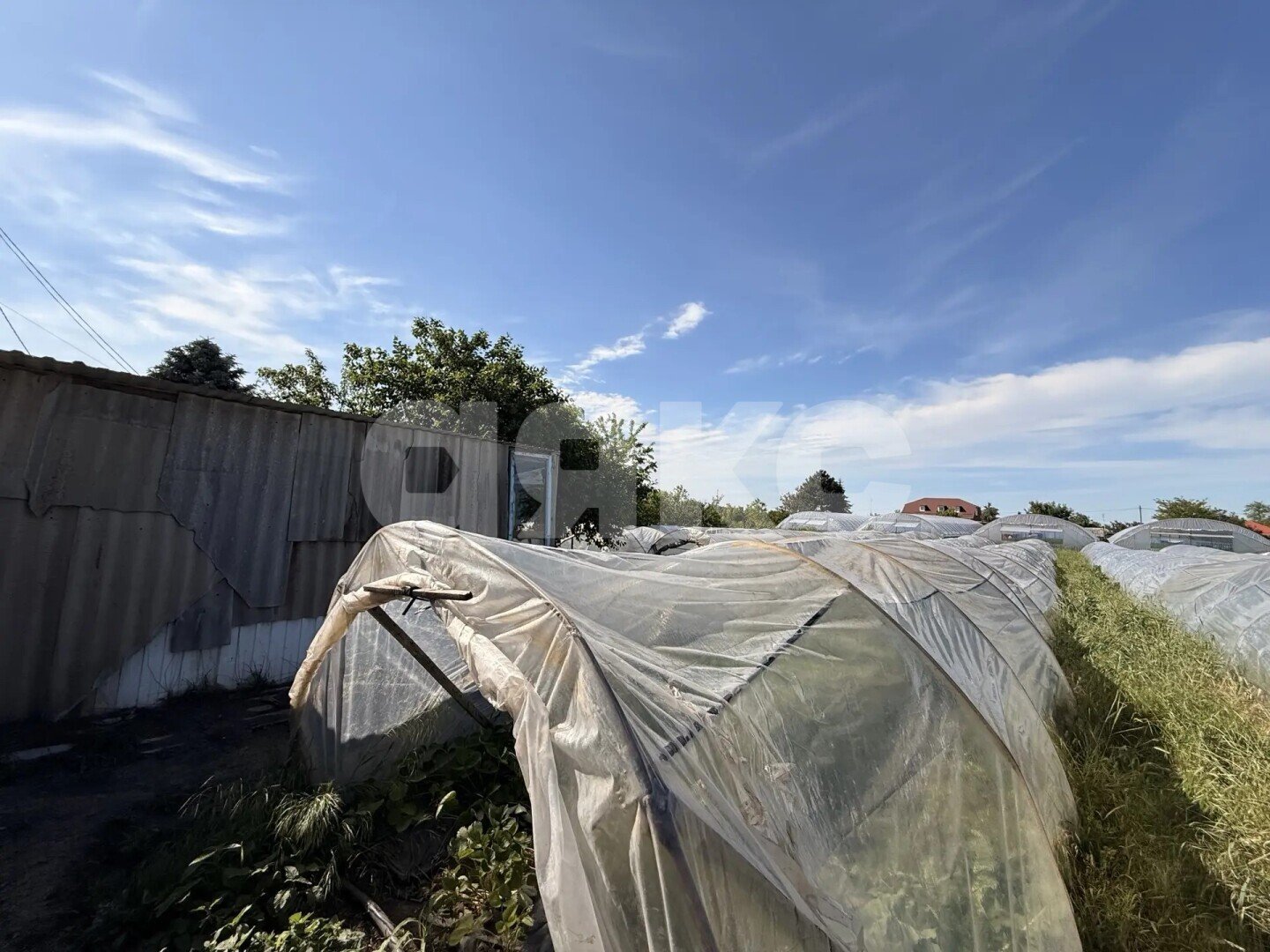 Фото №9: Личное подсобное хозяйство 23.23&nbsp;сот. - Платнировская, ул. Карла Маркса, 120