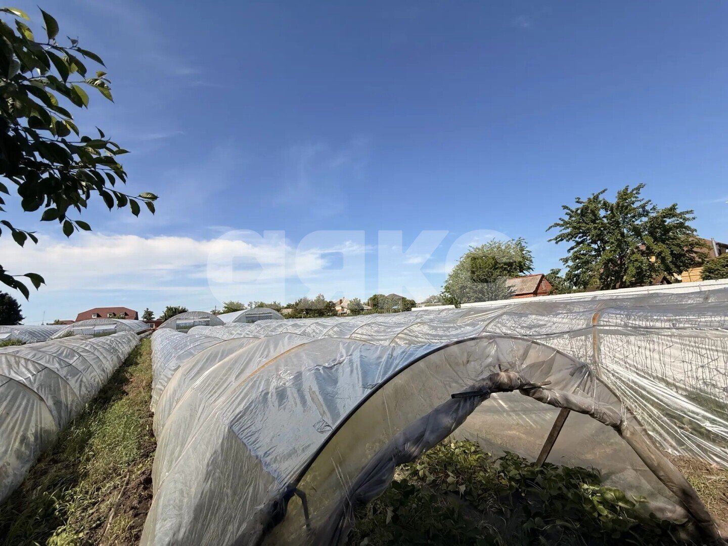Фото №6: Личное подсобное хозяйство 23.23&nbsp;сот. - Платнировская, ул. Карла Маркса, 120