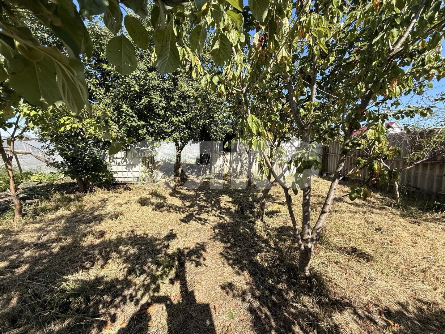 Фото №14: Личное подсобное хозяйство 23.23&nbsp;сот. - Платнировская, ул. Карла Маркса, 120