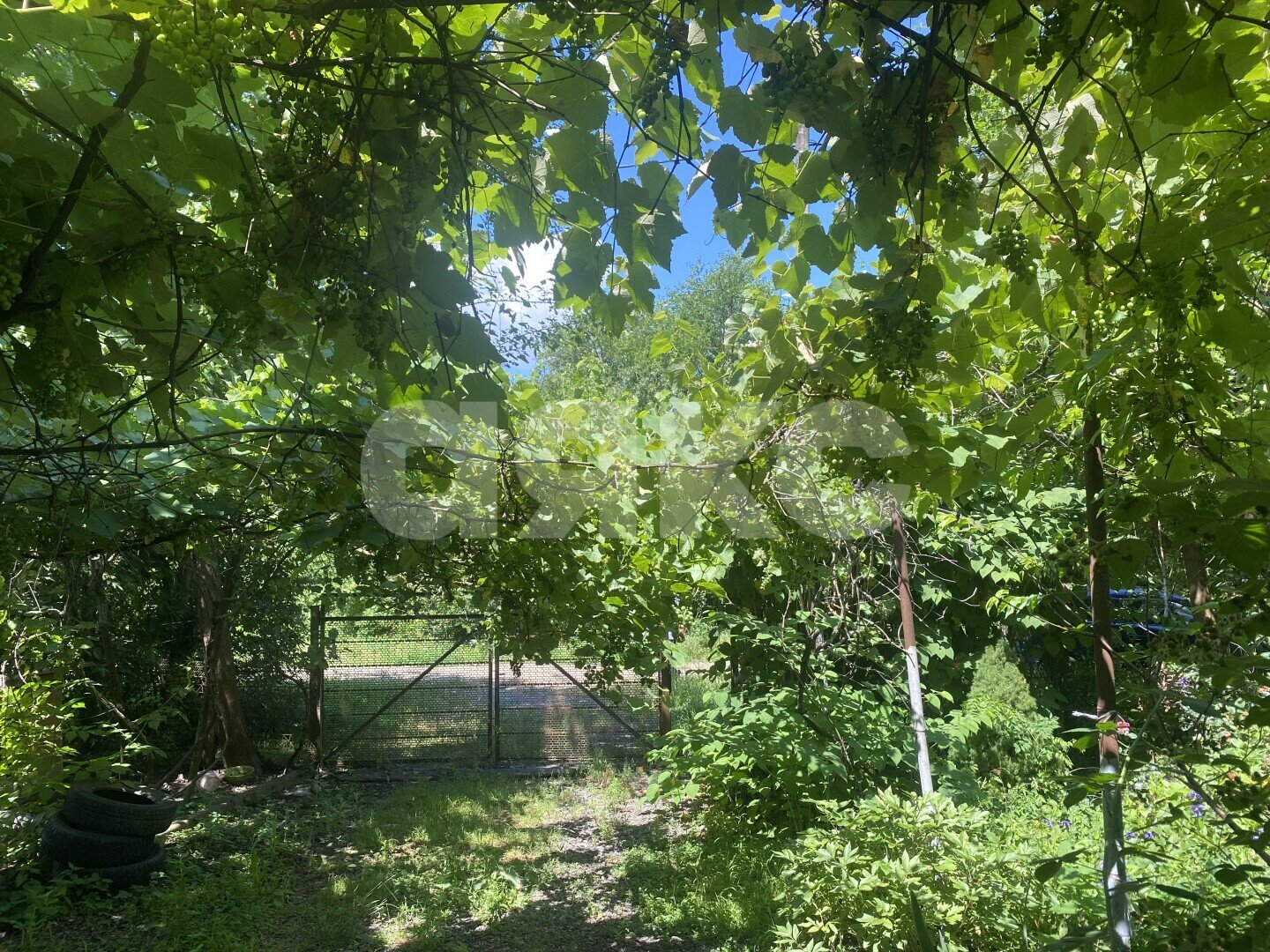 Фото №3: Дом 70&nbsp;м² + 47&nbsp;сот., 1&nbsp;эт. - Пролетарский, ул. Огородняя, 7