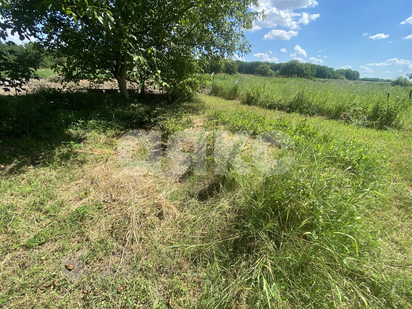 Фото №26: Дом 70&nbsp;м² + 47&nbsp;сот., 1&nbsp;эт. - Пролетарский, ул. Огородняя, 7