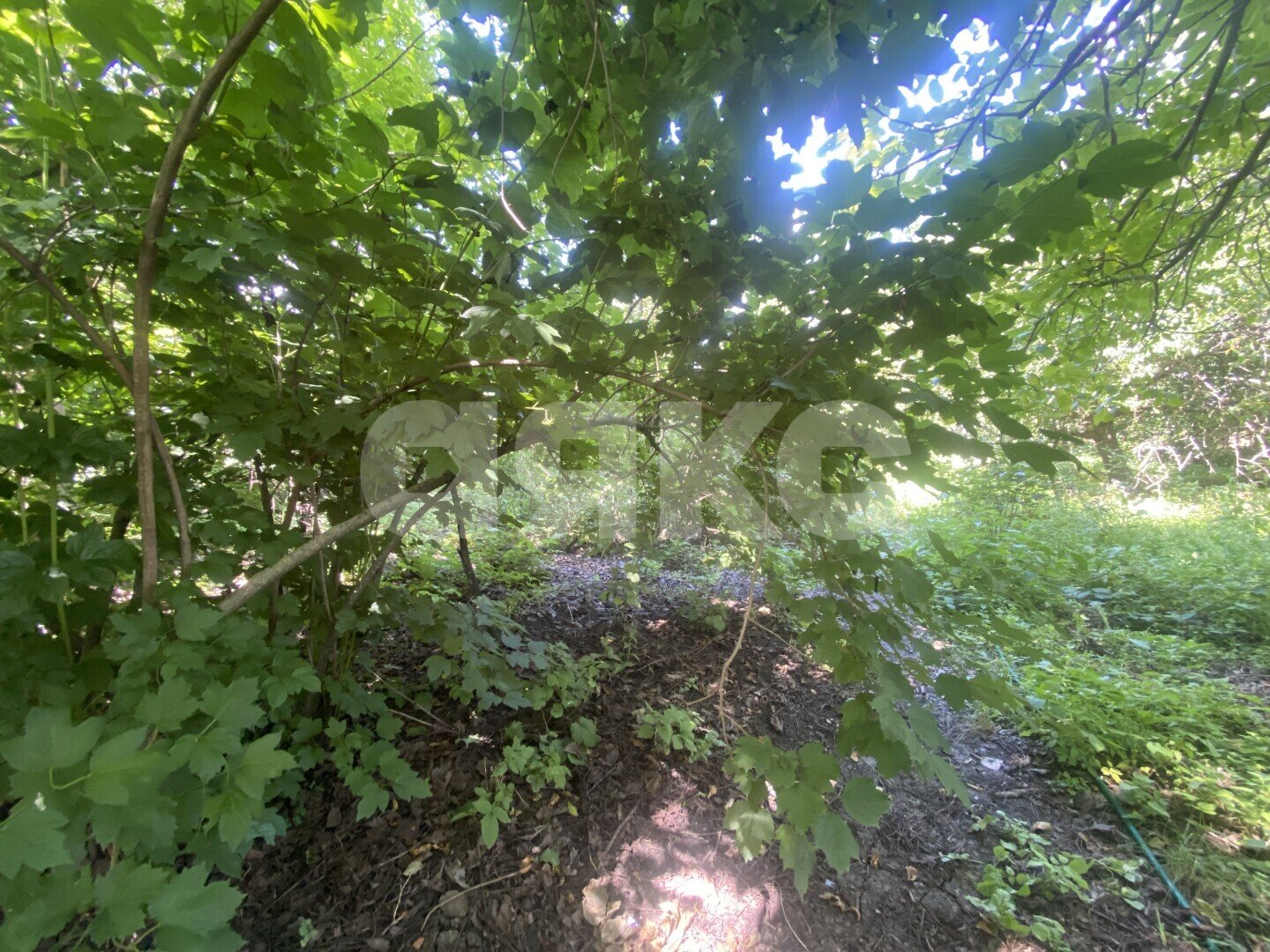 Фото №23: Дом 70&nbsp;м² + 47&nbsp;сот., 1&nbsp;эт. - Пролетарский, ул. Огородняя, 7