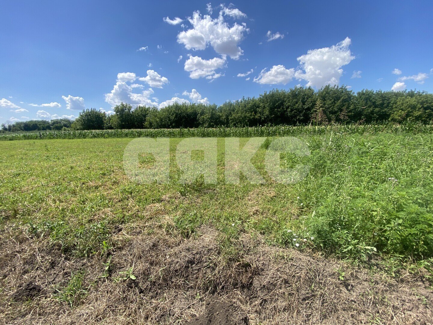 Фото №30: Дом 70&nbsp;м² + 47&nbsp;сот., 1&nbsp;эт. - Пролетарский, ул. Огородняя, 7