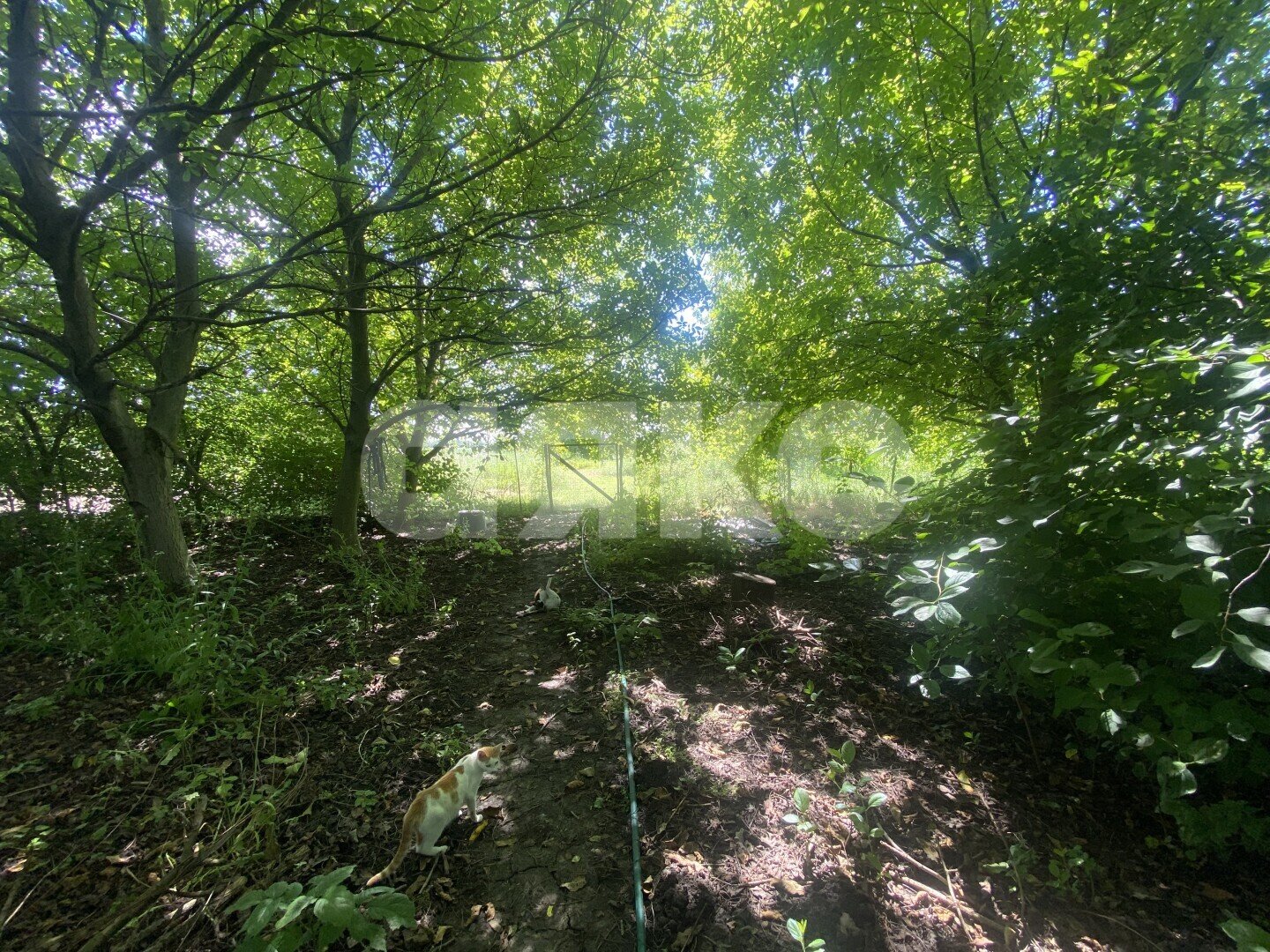 Фото №24: Дом 70&nbsp;м² + 47&nbsp;сот., 1&nbsp;эт. - Пролетарский, ул. Огородняя, 7