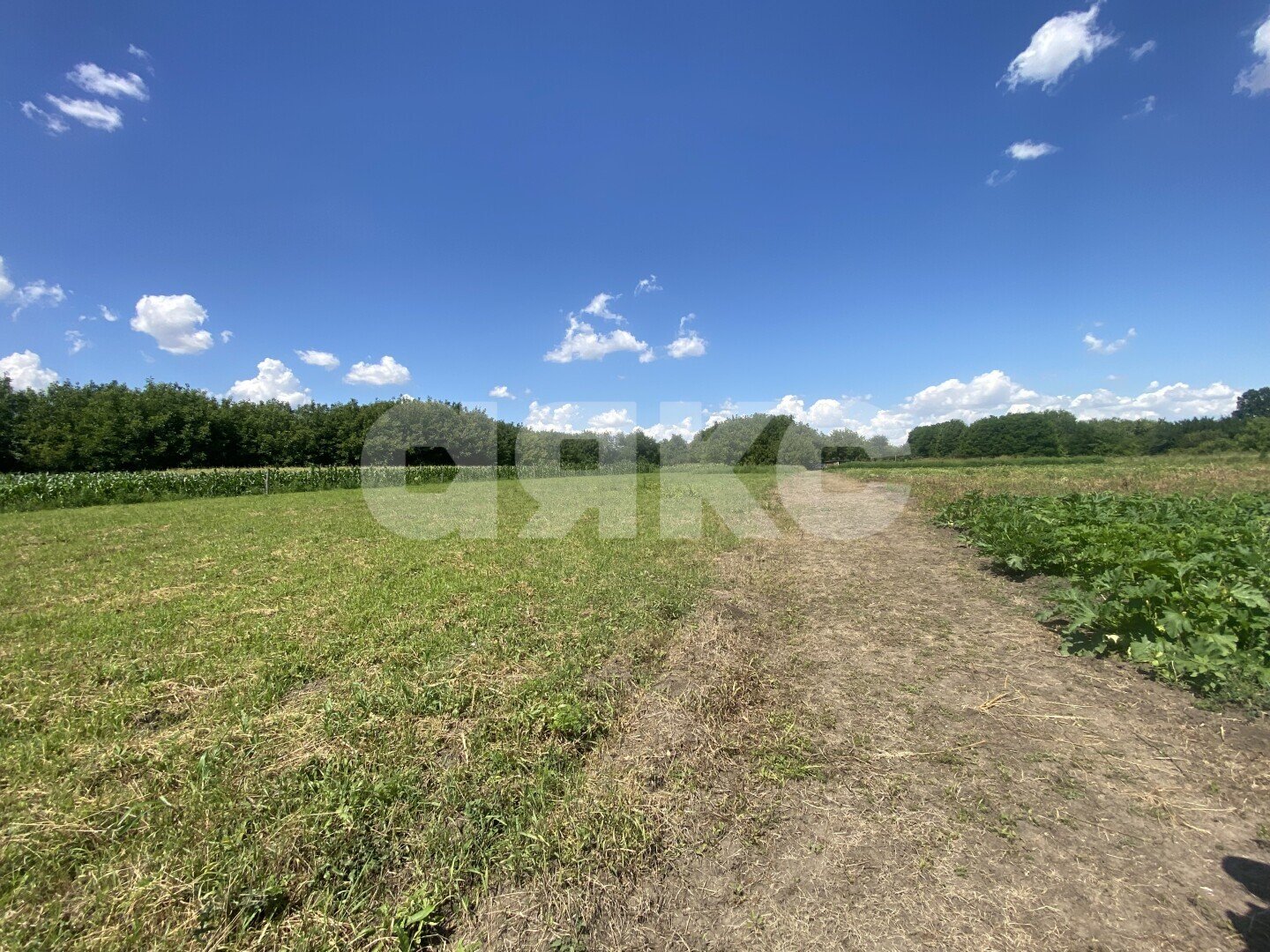 Фото №29: Дом 70&nbsp;м² + 47&nbsp;сот., 1&nbsp;эт. - Пролетарский, ул. Огородняя, 7