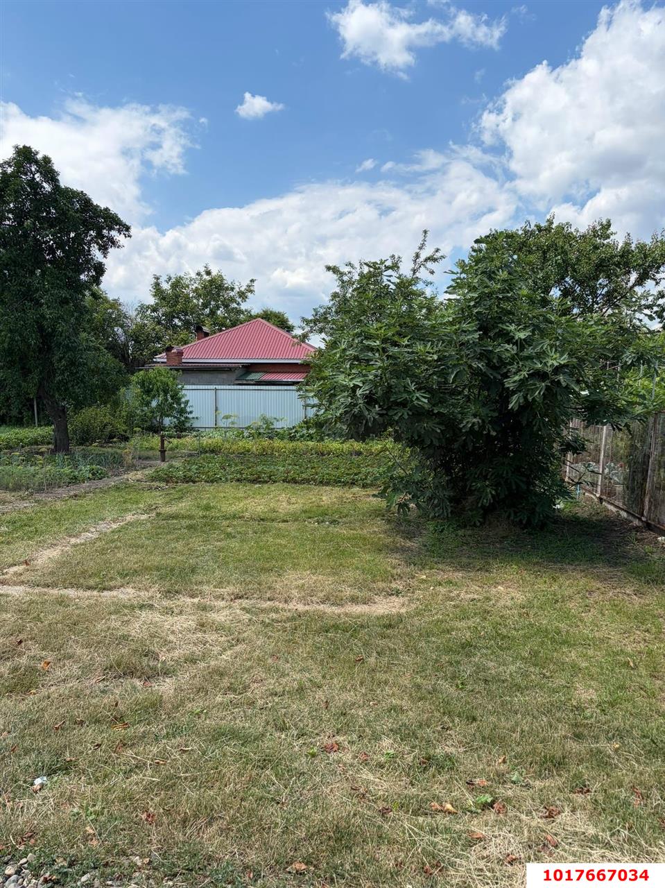 Фото №5: Личное подсобное хозяйство 4&nbsp;сот. - Октябрьский, Прикубанский внутригородской округ, мкр. СНТ Нектар, ул. Абрикосовая
