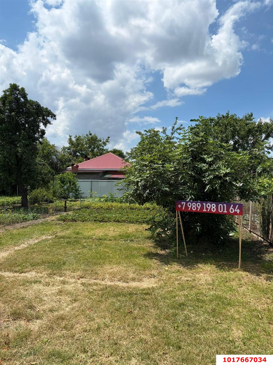 Фото №11: Личное подсобное хозяйство 4&nbsp;сот. - Октябрьский, Прикубанский внутригородской округ, мкр. СНТ Нектар, ул. Абрикосовая