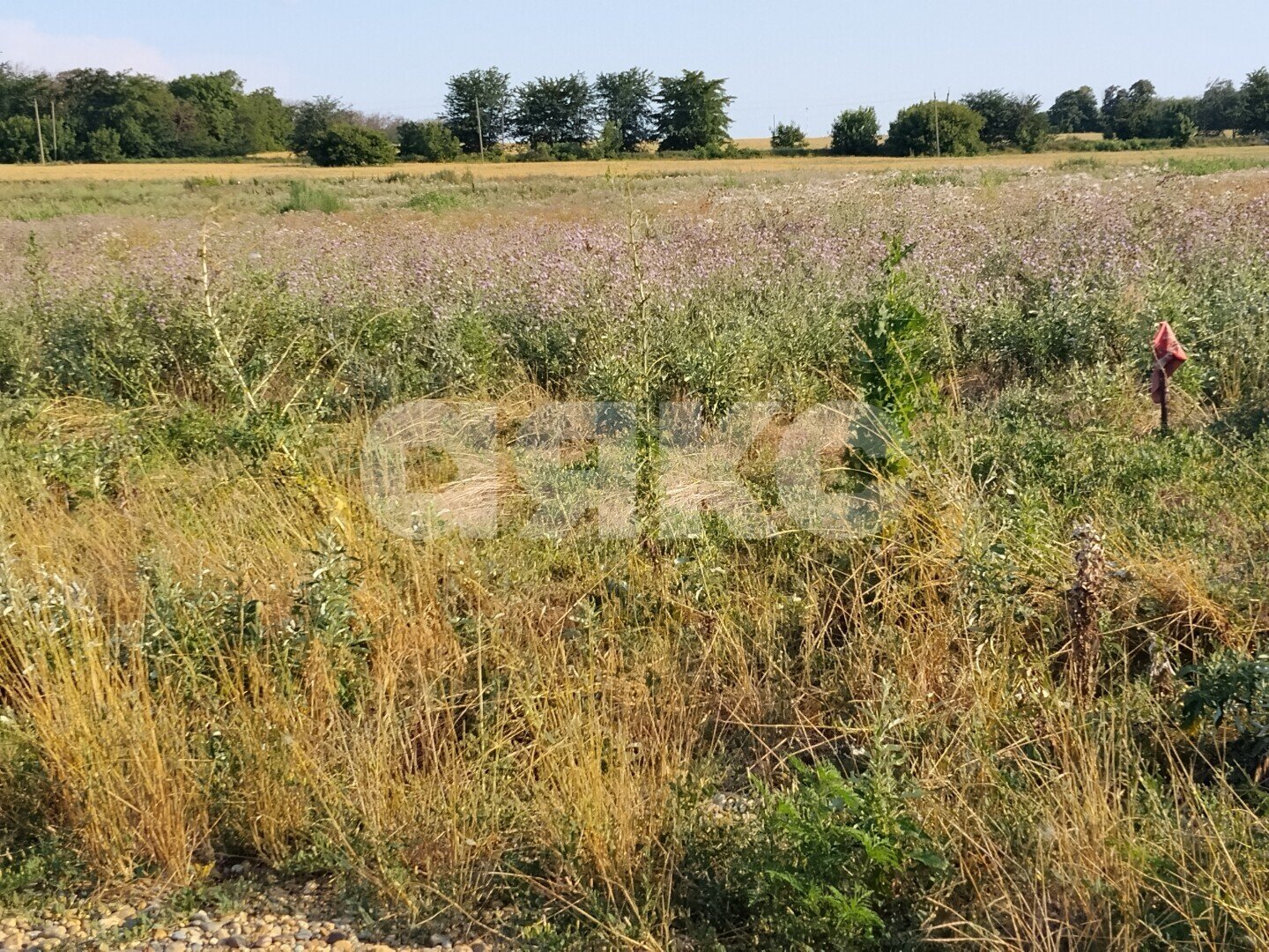 Фото №6: Земельный участок под ИЖС 6.07&nbsp;сот. - Краснодарский край Кореновский район
