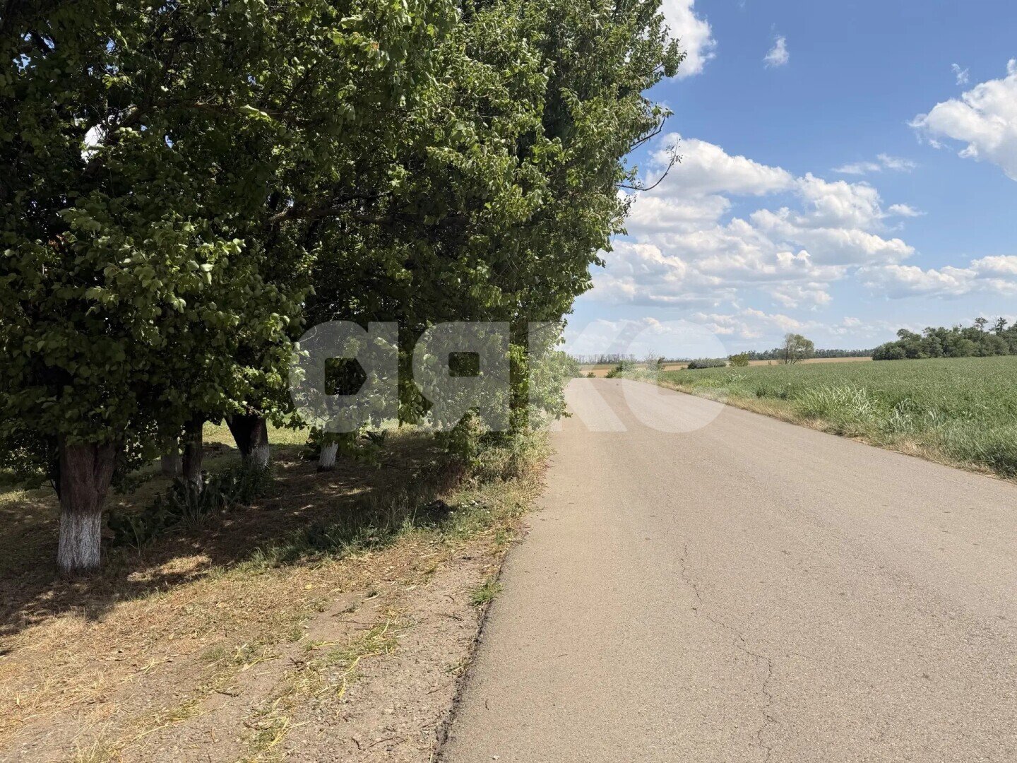 Фото №9: Дом 53&nbsp;м² + 26&nbsp;сот., 1&nbsp;эт. - Казачий, ул. Степная