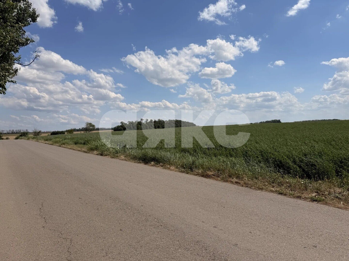 Фото №8: Дом 53&nbsp;м² + 26&nbsp;сот., 1&nbsp;эт. - Казачий, ул. Степная