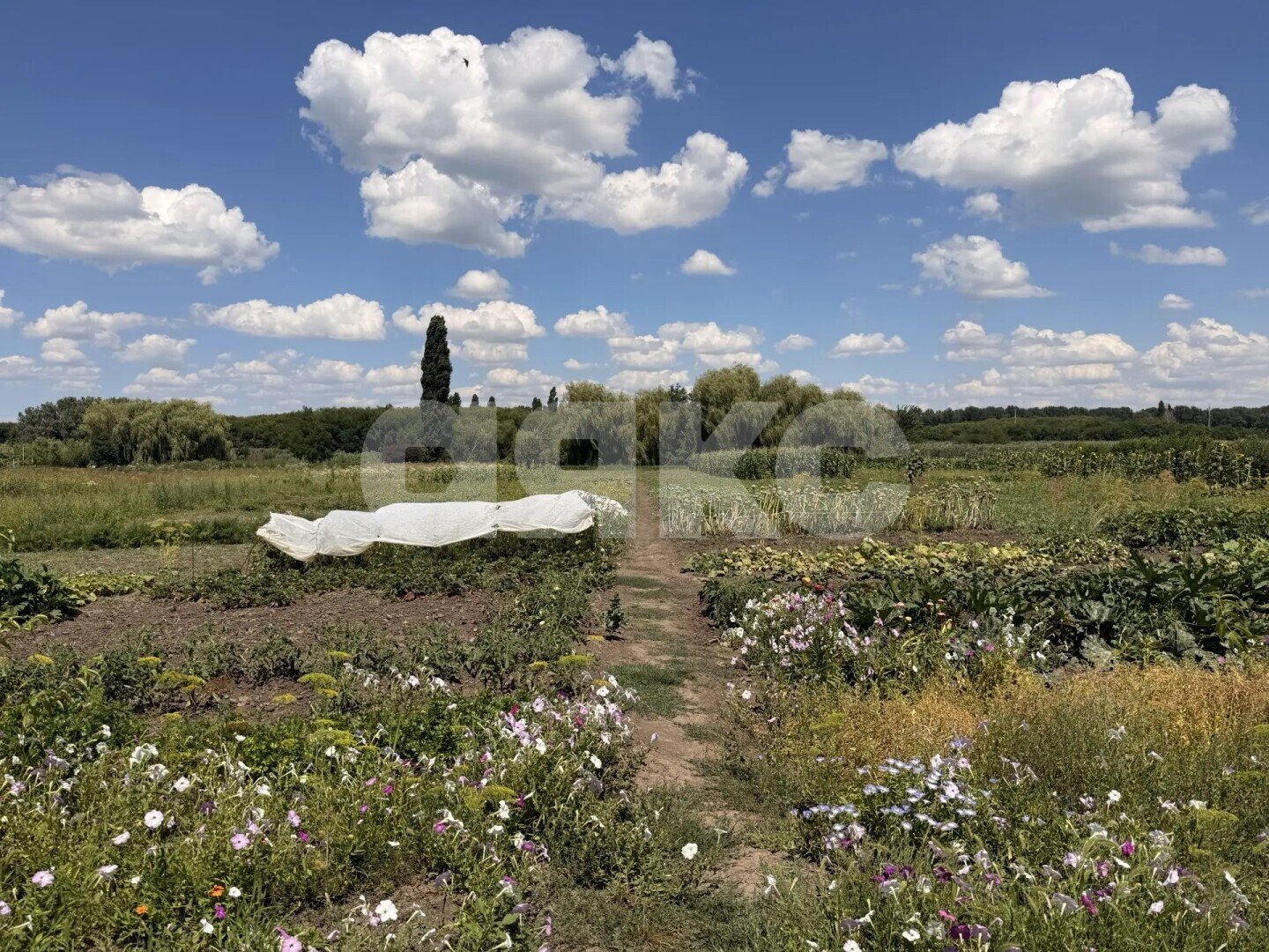 Фото №26: Дом 53&nbsp;м² + 26&nbsp;сот., 1&nbsp;эт. - Казачий, ул. Степная