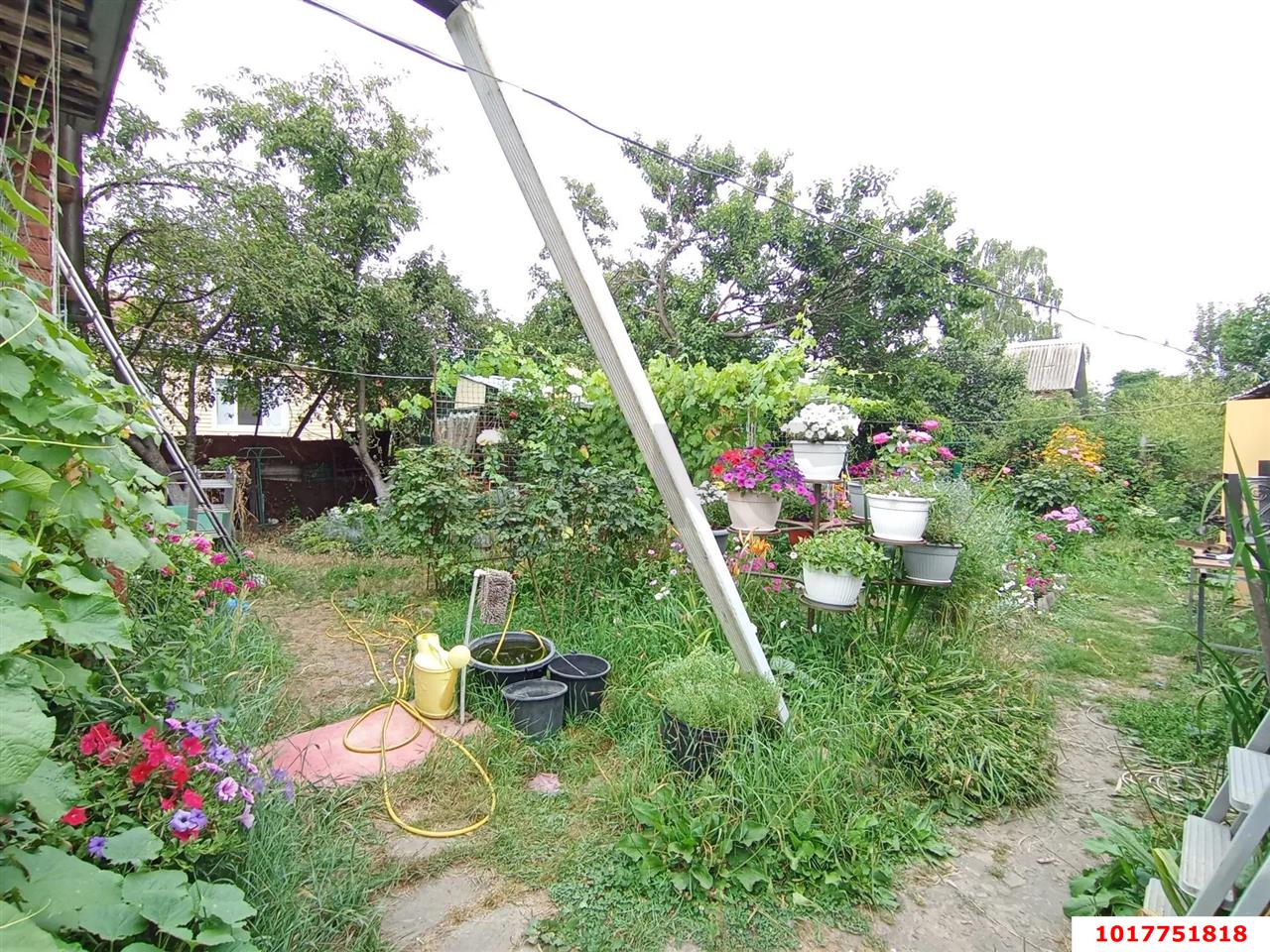 Фото №7: Дом 49&nbsp;м² + 4&nbsp;сот., 1&nbsp;эт. - Знаменский, Карасунский внутригородской округ, мкр. СНТ Рассвет, ул. Вишнёвая, 424