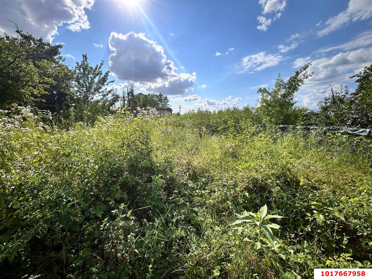Фото №10: Земельный участок под ИЖС 4&nbsp;сот. - Краснодар, Прикубанский внутригородской округ, Сады Калинина, мкр. СНТ КНИИСХ, ул. Земляничная