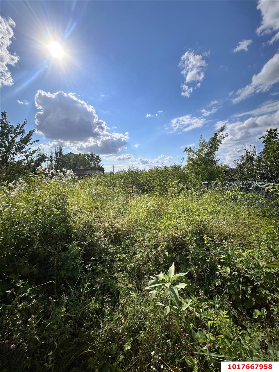 Фото №9: Земельный участок под ИЖС 4&nbsp;сот. - Краснодар, Прикубанский внутригородской округ, Сады Калинина, мкр. СНТ КНИИСХ, ул. Земляничная