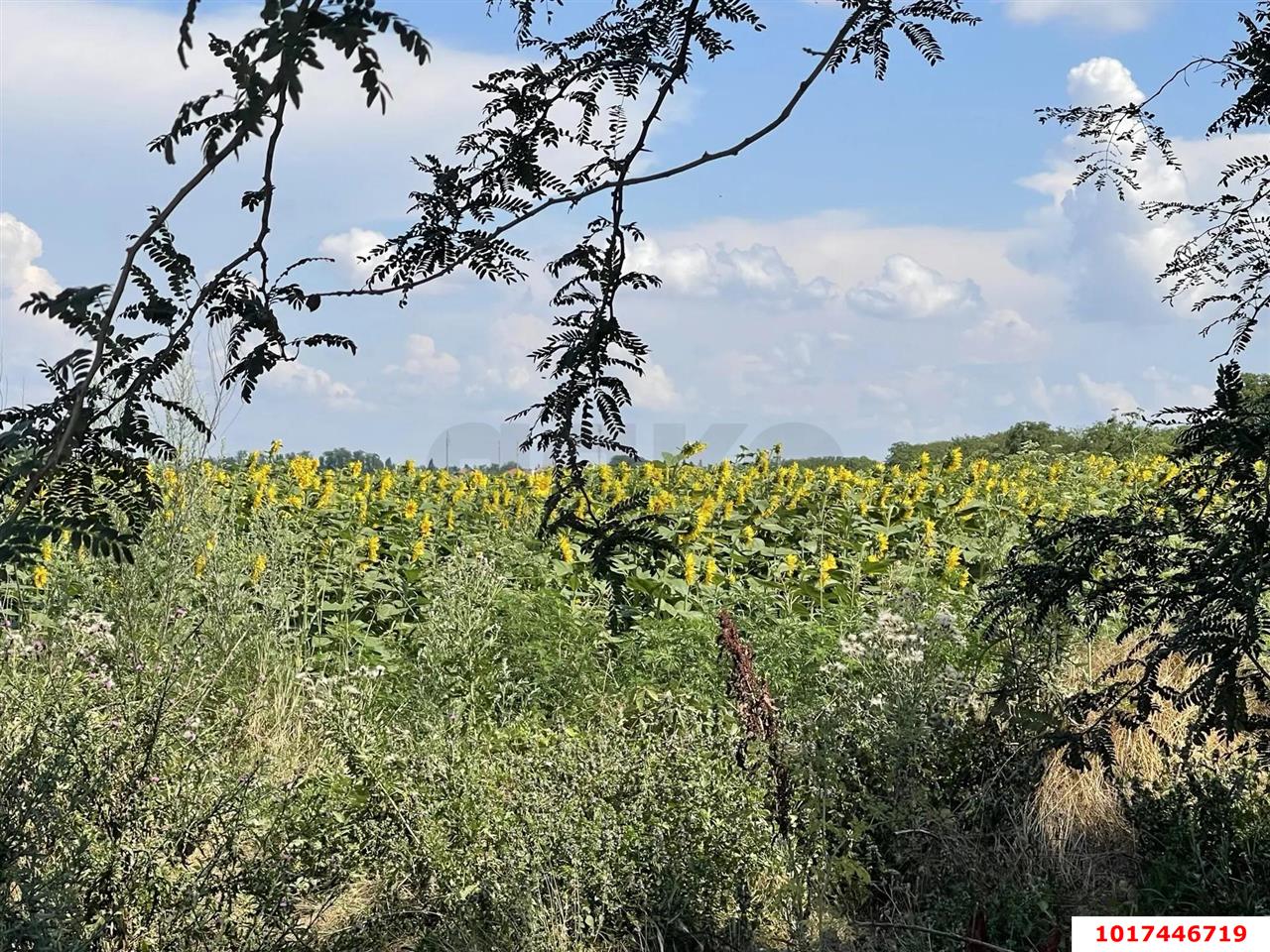 Фото №7: Земельный участок под ИЖС 8&nbsp;сот. - Краснодар, Прикубанский внутригородской округ, п. коттеджный  Зелёная Долина, ул. Гасконская