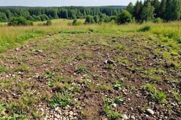 Фото №1: Земельный участок под ИЖС 7.3&nbsp;сот. - Бойкопонура, 