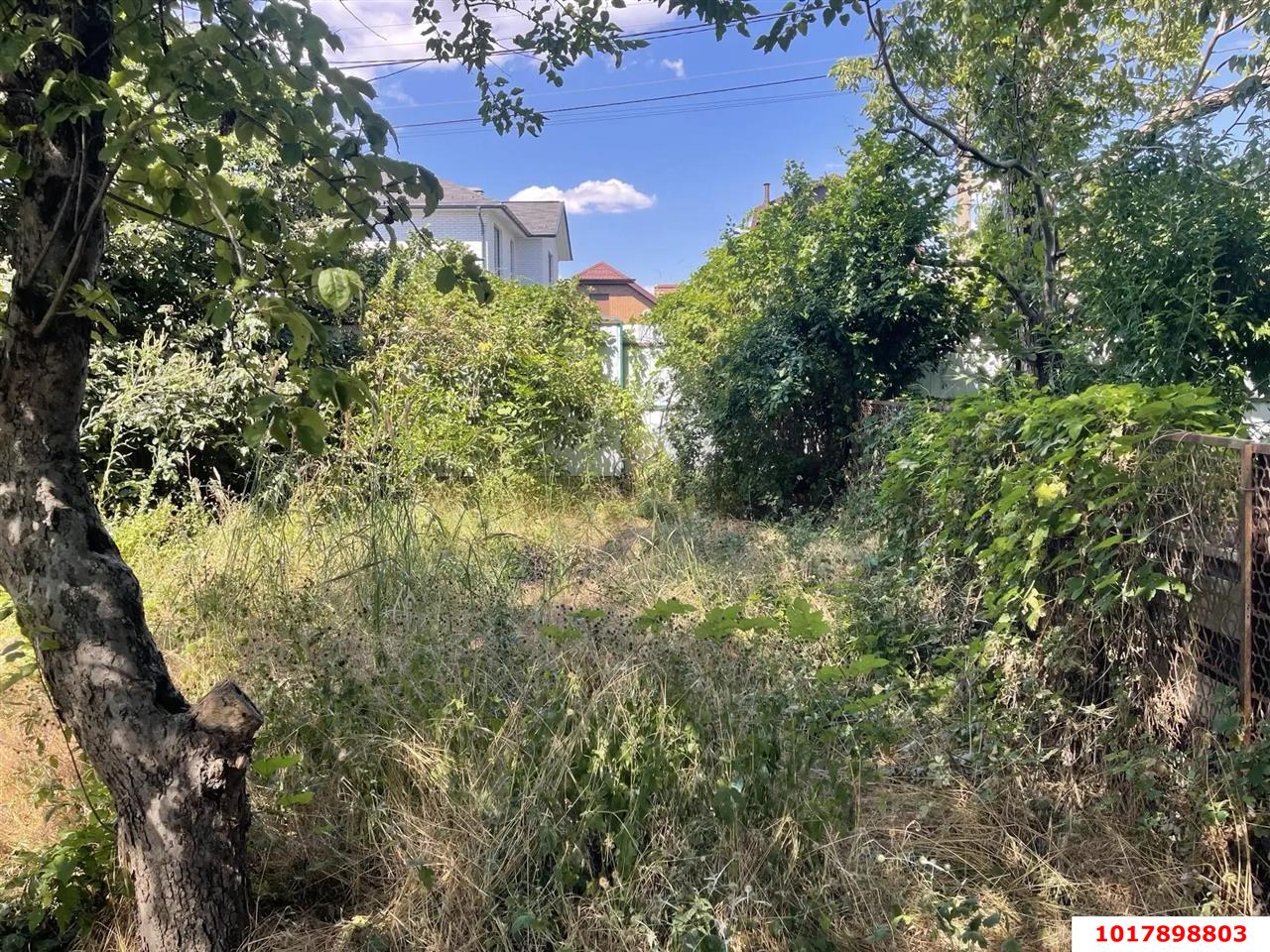 Фото №5: Личное подсобное хозяйство 6.05&nbsp;сот. - Краснодар, Прикубанский внутригородской округ, Микрохирургии глаза, мкр. СНТ № 1, ул. Сливовая, 186