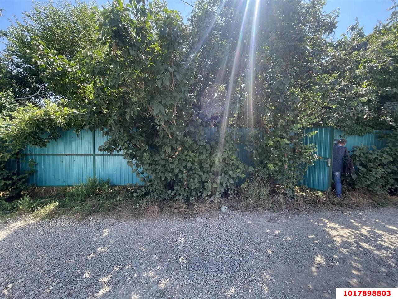 Фото №7: Личное подсобное хозяйство 6.05&nbsp;сот. - Краснодар, Прикубанский внутригородской округ, Микрохирургии глаза, мкр. СНТ № 1, ул. Сливовая, 186