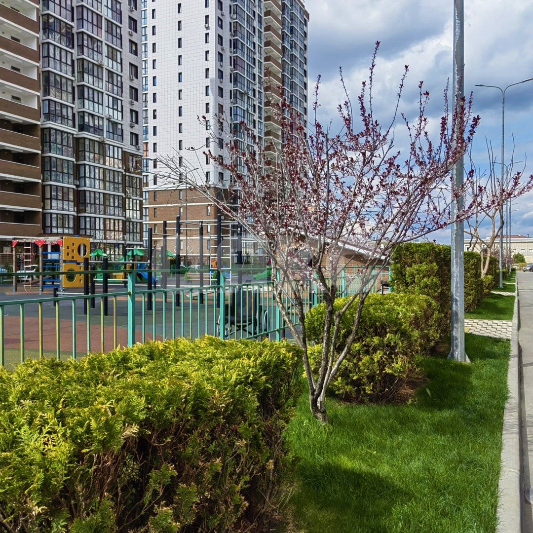 Фото №29: 2-комнатная квартира 62&nbsp;м², 17/20&nbsp;эт. - Анапа, Парковый, мкр. ЖК Раз-Два-Три, ул. Анапское шоссе, 24к9