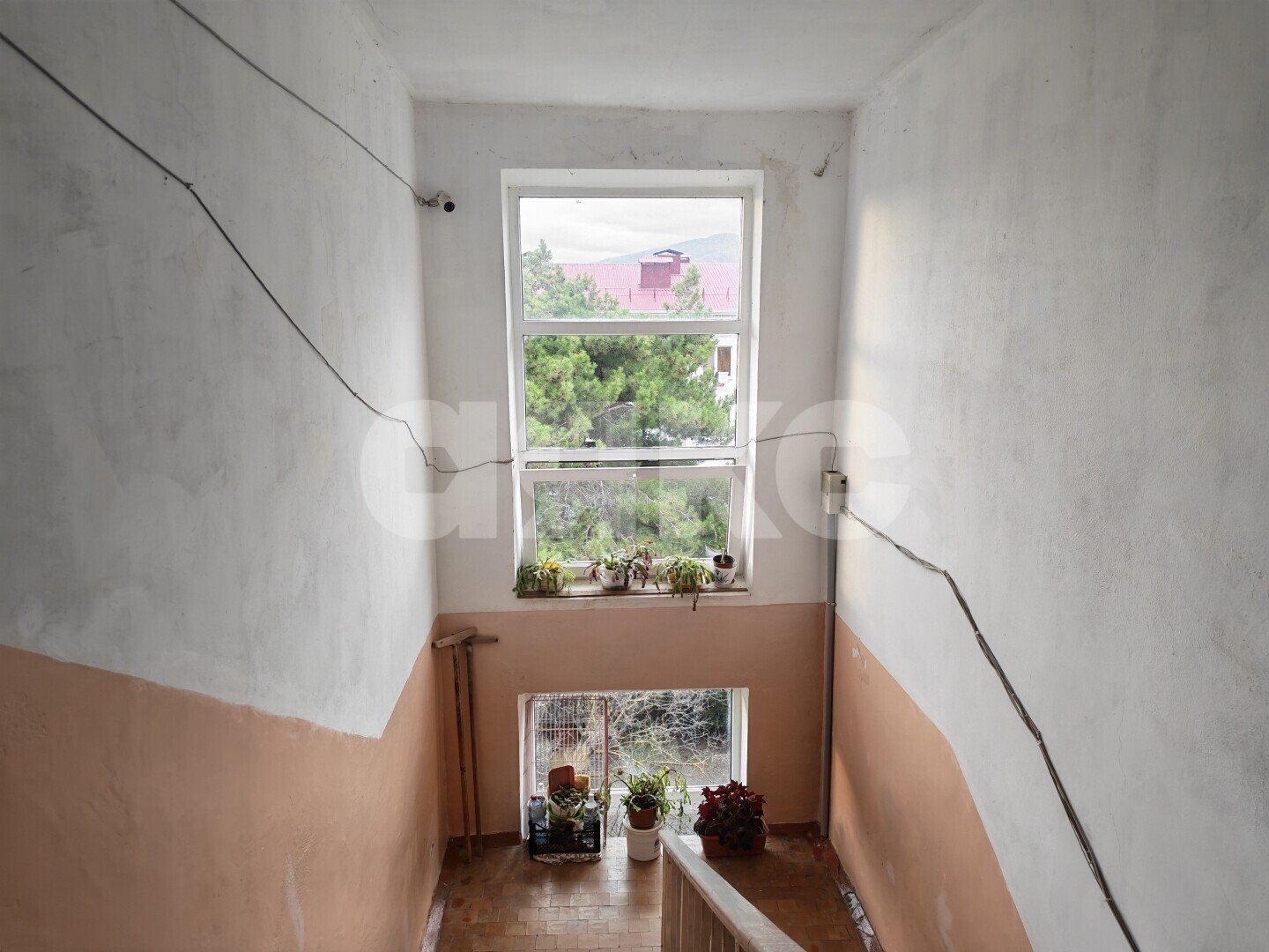 Фото №7: Комната 14&nbsp;м², 5/5&nbsp;эт. - Геленджик, мкр. Толстый Мыс, ул. Грибоедова, 50