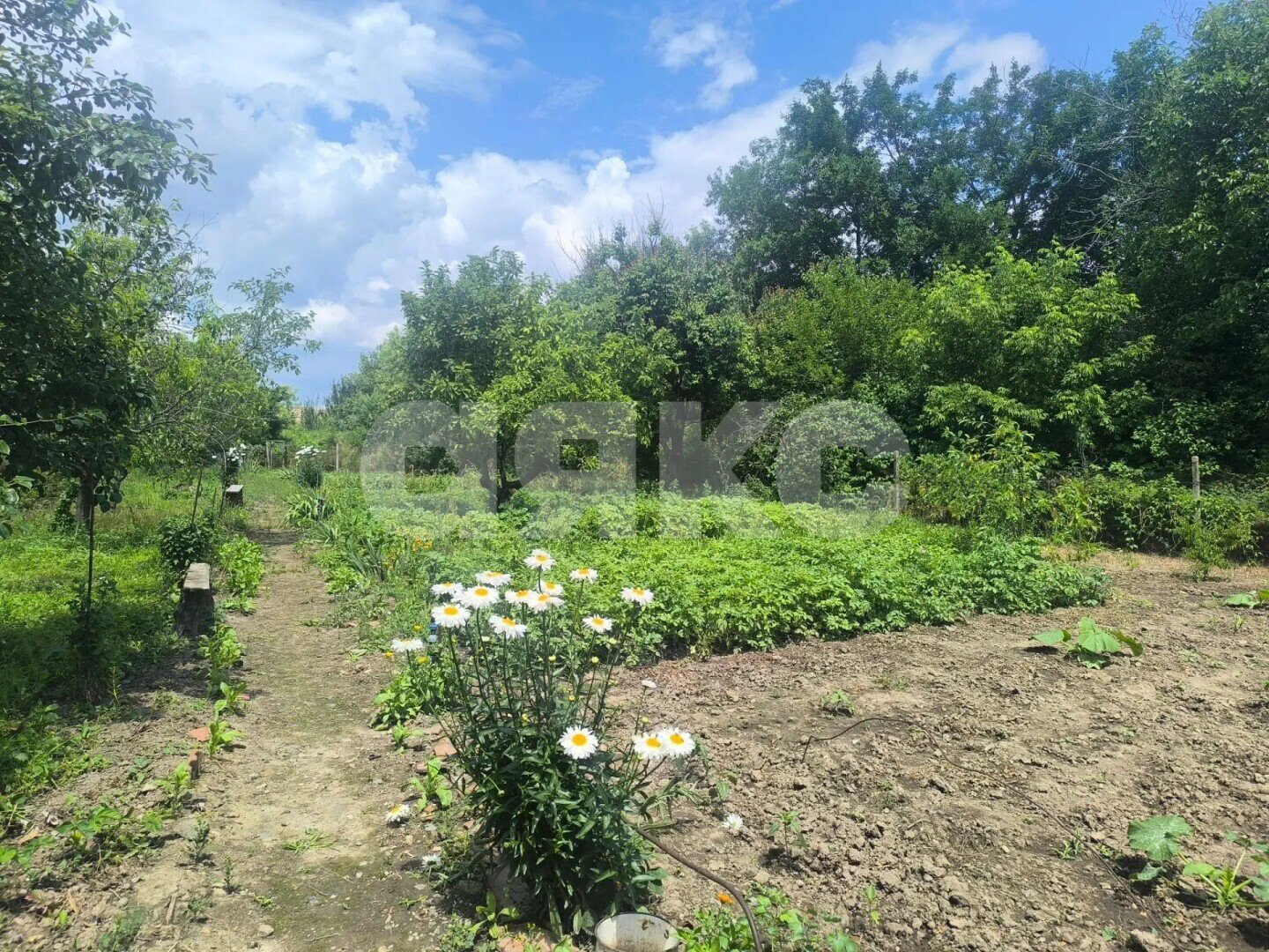 Фото №1: Личное подсобное хозяйство 6.38&nbsp;сот. - Марьино, ул. Центральная, 41Б/1
